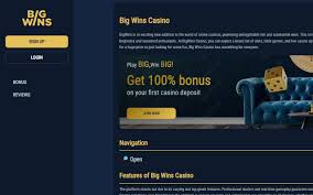 Big Wins Casino Site 2025